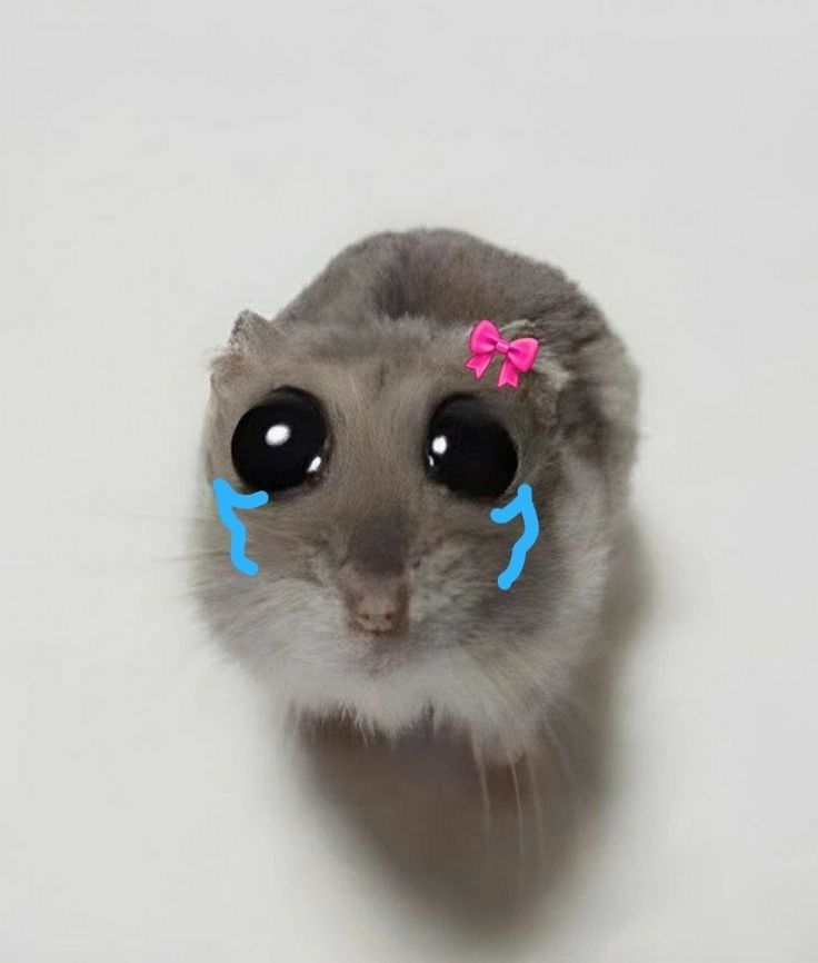 Crying Hamster